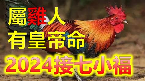 屬雞今年運勢|【屬雞2024生肖運勢】易結異性緣，事業家宅皆旺｜ 